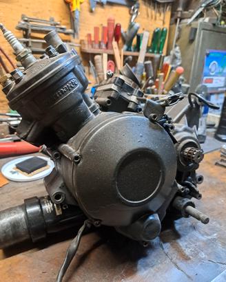blocco motore am6 parmakit 110cc 