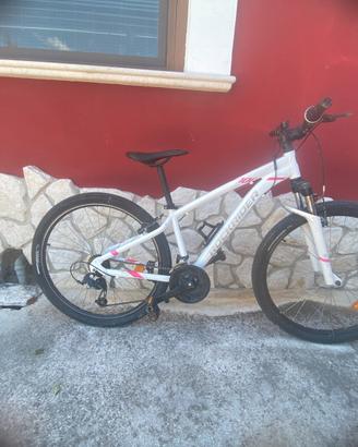 Bicicletta MTB