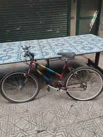 biciclecca Mountain bike 