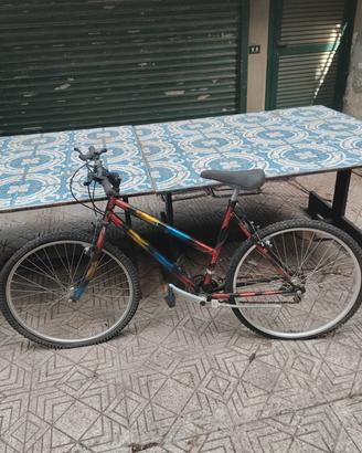 biciclecca Mountain bike 