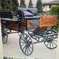 Carrozza cavalli