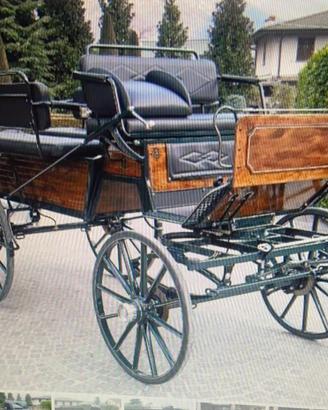 Carrozza cavalli