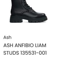 anfibio n°38