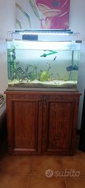 acquario completo