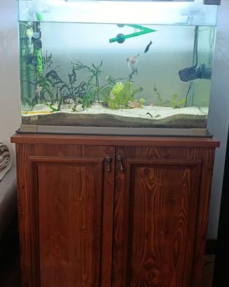 acquario completo