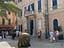 Immagine 11