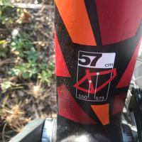 Bici BMC FULL CARBONIO