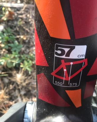 Bici BMC FULL CARBONIO