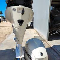 Evinrude e250dpx - iniezione pari al nuovo