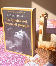 La Felicità nei giorni di pioggia, Romanzo