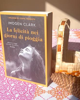 La Felicità nei giorni di pioggia, Romanzo