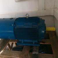 Motore trifase Emc 22kW