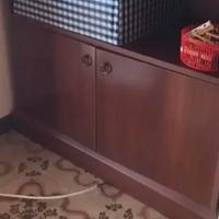 Mobile porta tv