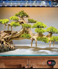 Decorazione Acquario Bonsai In Arenaria Con Finto Muschio, 17,8x27,9x6,1 Cm, Per Acqua Dolce E Marina