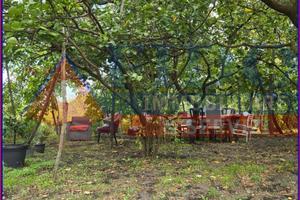 Terreno agricolo di 2.260 con casotto