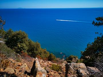 Punta Ala: Monolocali Vista Mare!