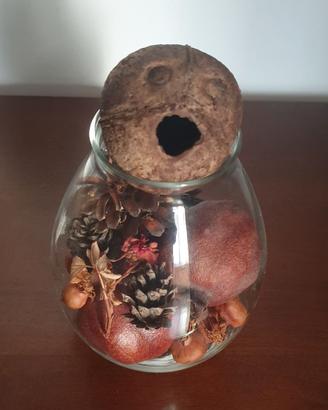 Vaso vetro con frutti secchi decorativi