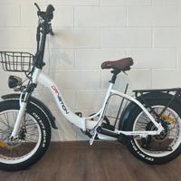 Bici elettrica