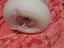 Immagine 13