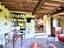 Immagine 26