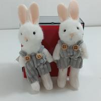 2 Conigli in Salopette