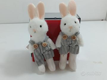 2 Conigli in Salopette