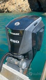 Fuoribordo Evinrude G250
