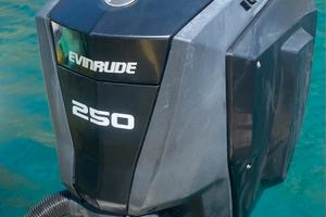 Fuoribordo Evinrude G250