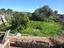 Immagine 26