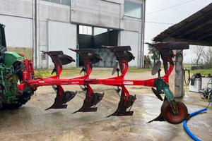 Aratro Quadrivomero Vogel Noot