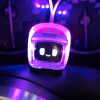 Bosozoku Mochi Dasai Limited edition