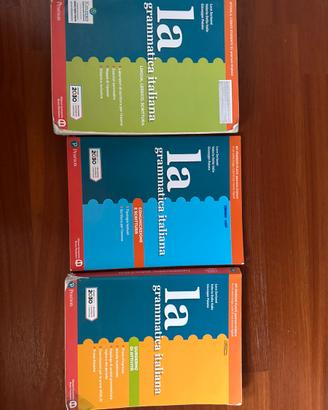 Libro di Grammatica