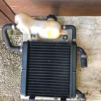 Radiatore aerox
