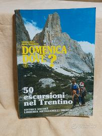 domenica dove ? 50 escursioni nel trentino 