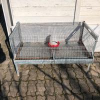 Galline pulcini quaglie colombi