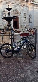 bici elettrica haibike
