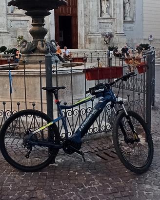 bici elettrica haibike