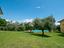 Immagine 21