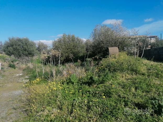 Terreno agricolo - Paternò