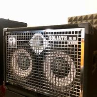 Swr Goliath Jr III (3) 2x10” Cassa per Basso 350W