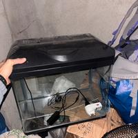 Acquario lagura 50 led