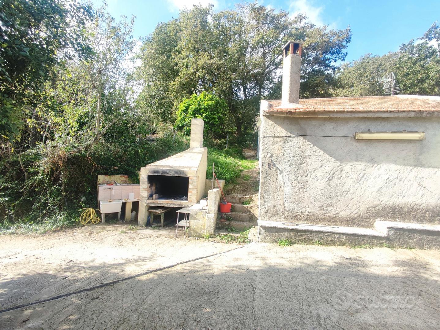 Terreno Agricolo con Vigna e Frutteto - Vista 3