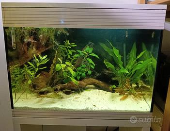 acquario Askoll pure led L
