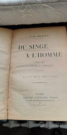 DU SINGE A L'HOMME libro scienze in francese