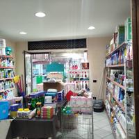 Attività commerciale