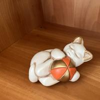 Thun gatto bianco