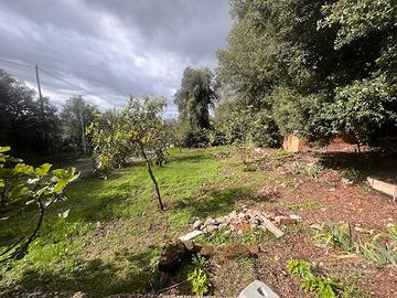 Casa Indipendente Narni [Cod. rif 3182950VRG]