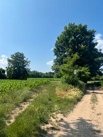 Terreno agricolo 2600 mq a Guanzate
