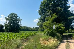 Terreno agricolo 2600 mq a Guanzate