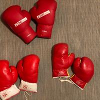 Lotto 3 paia guantoni Boxe/Kickboxing